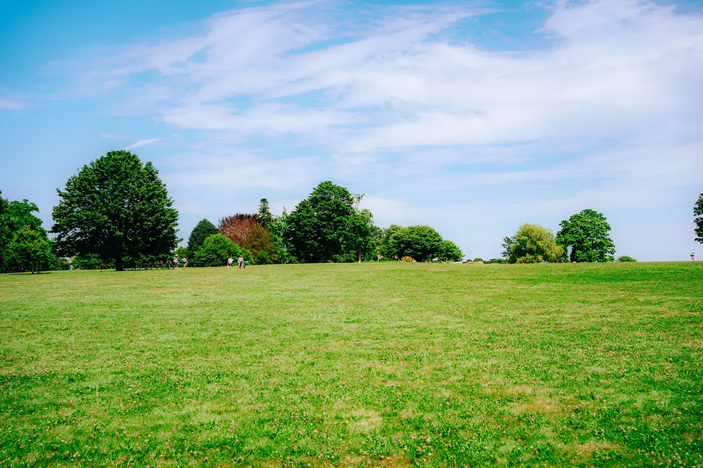 An open grass field bordered by a line of trees under a partly cloudy blue sky.