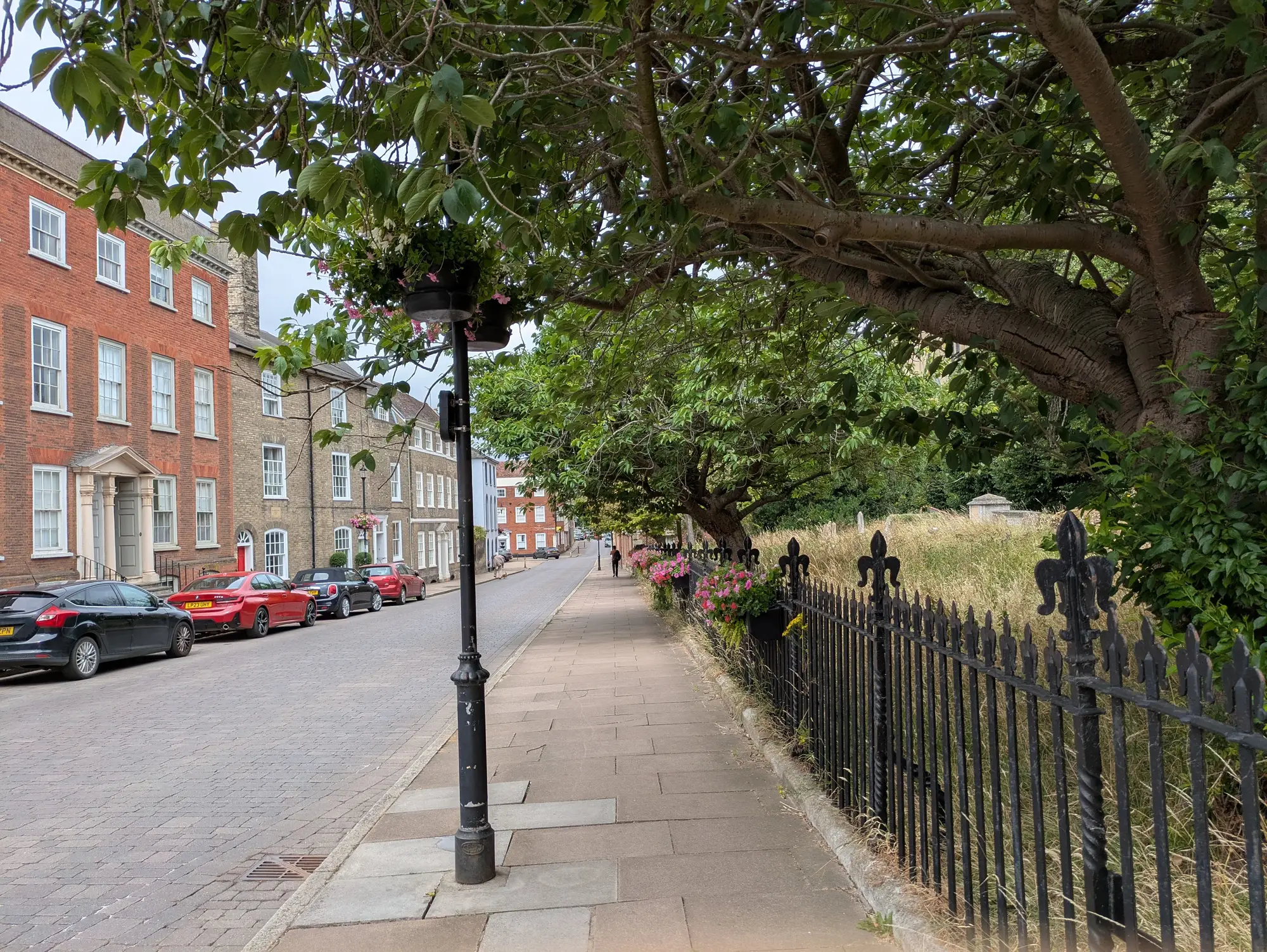 A pavement under street trees beside open grass and a row of brick houses